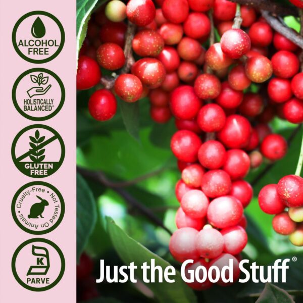 Version 1.0.0 Extracto de schisandra para estrés y fatiga