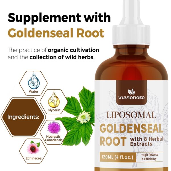 Version 1.0.0 Extracto sello de oro Vuvionoso caja lateral