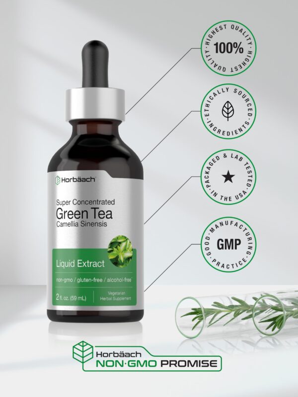 Extracto de té verde para salud y energía sin alcohol Horbäach