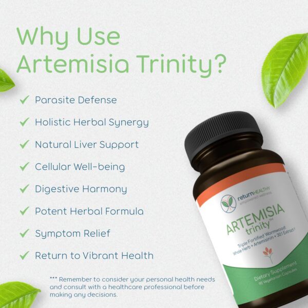 Extractos concentrados de artemisia para suplemento Return Healthy Trinity