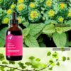 Extractos herbales Mountain Meadow Herbs para maternidad