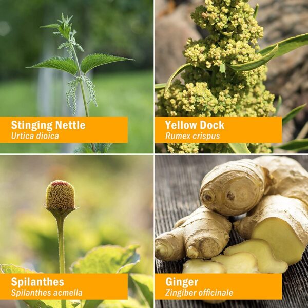 Extractos líquidos rápidos absorción para cuidado de piel Herb Pharm