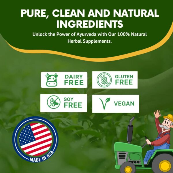 Packaging de Apollo Ayurveda