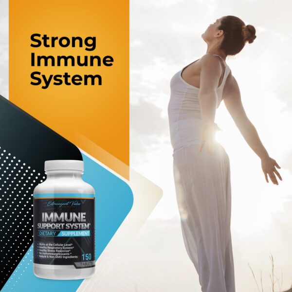 Interior de la caja con 150 tabletas