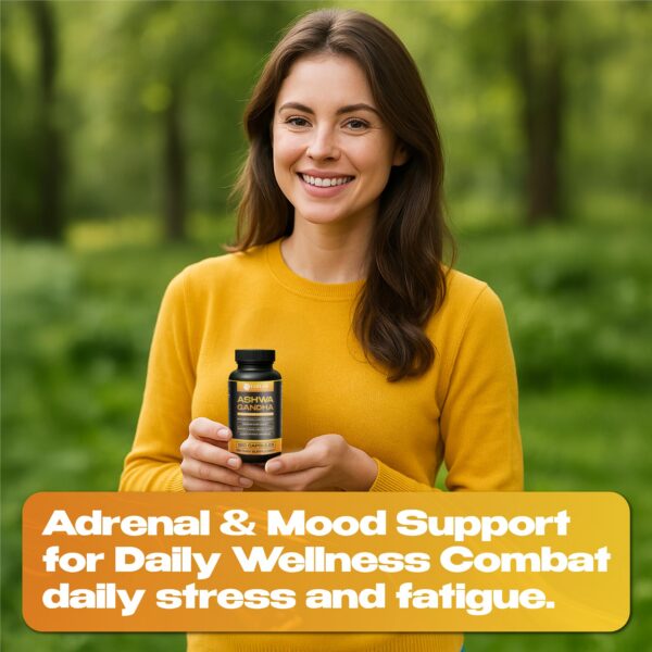 Version 1.0.0 Imagen de la cápsula