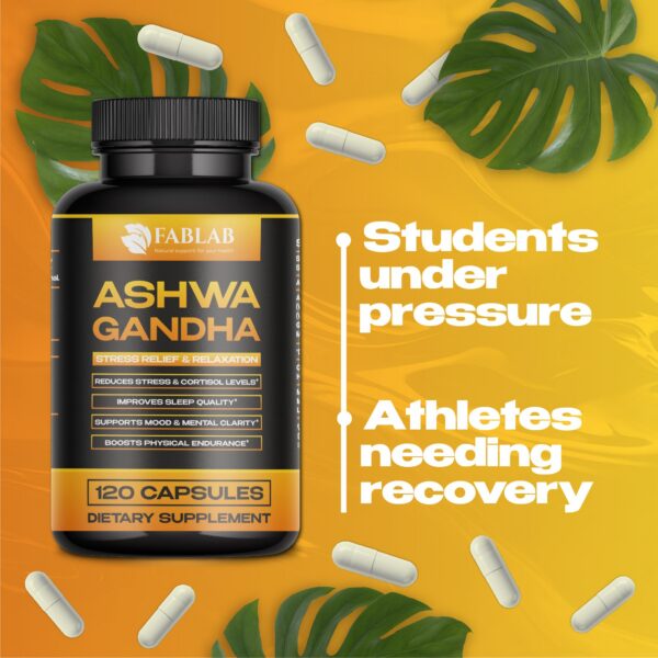 Version 1.0.0 Parte trasera del envase FabLab