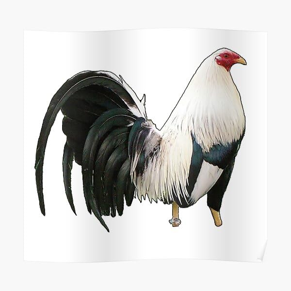 Presentación lateral Farmalab B-12 & B-15 para gallos 100 tabletas