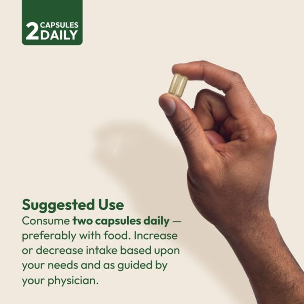 Fibermucil cápsulas dispersas