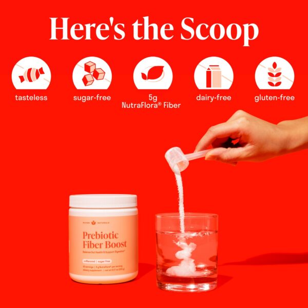 Fibra prebiótica polvo para bienestar intestinal seguro y natural