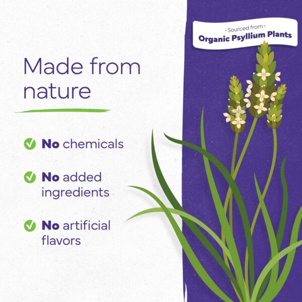 Fibra soluble vegana Konsyl polvo psyllium certificado