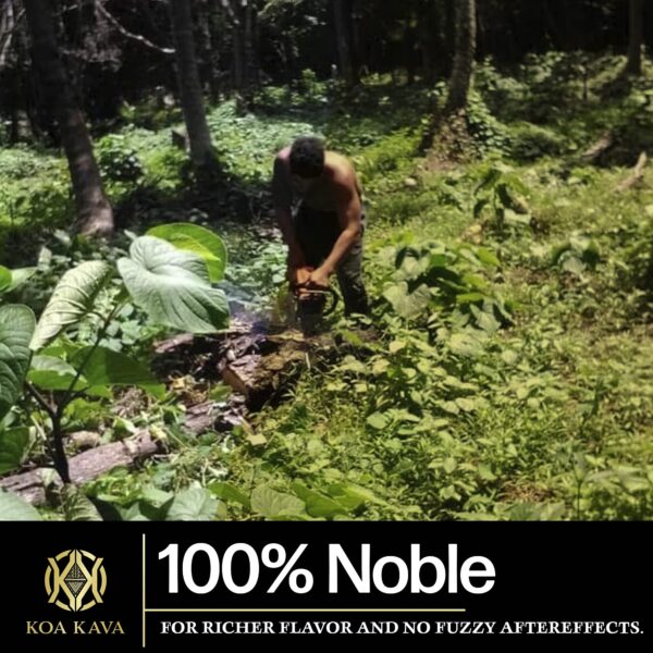 Empaque superior de paquete combinado de kava Koa Kava