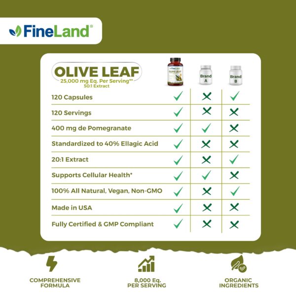 FineLand extracto hoja de olivo potente antioxidante