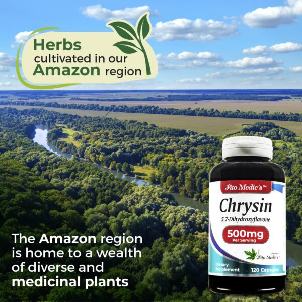 Vista general del conjunto de 120 cápsulas