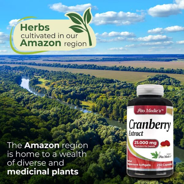 Frasco y cápsulas en estante