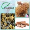 Presentación Fleamart Irish Sea Moss