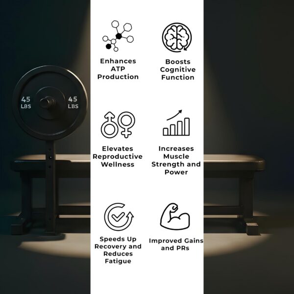 Gomitas sin azúcar de FloHydro