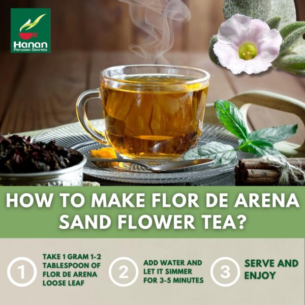 Version 1.0.0 Vista detalle hojas flor de arena HANAN