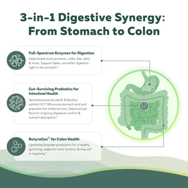 Envase y cápsulas Flora Digest