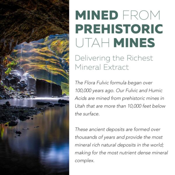 Cápsulas de Flora Fulvic en frasco