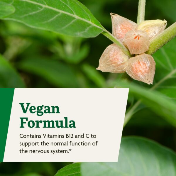 Floradix Ashwagandha suplemento natural vegano