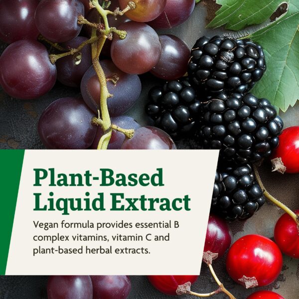 Instrucciones uso suplemento líquido hierro Floradix Floravital