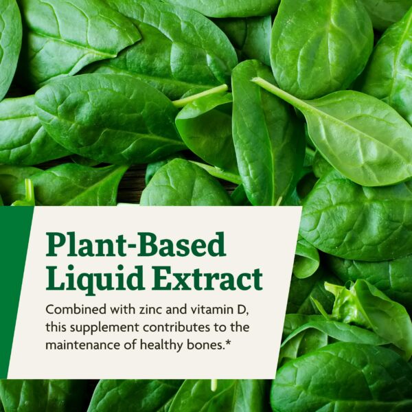 Floradix por Salus suplemento para salud muscular y ósea botella