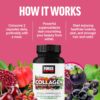 Etiqueta de ingredientes de Force Factor