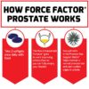 Force Factor suplemento con beta sitosterol para próstata y vejiga