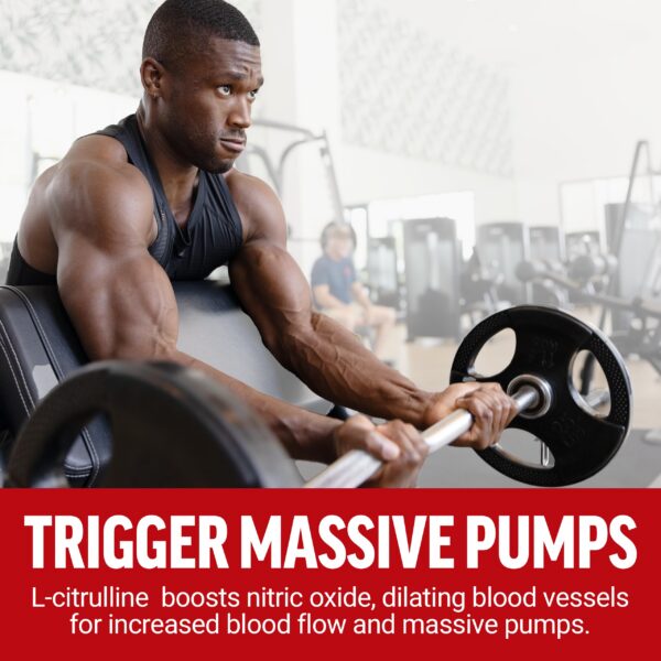 Version 1.0.0 Caja de Force Factor Test X180 Alpha