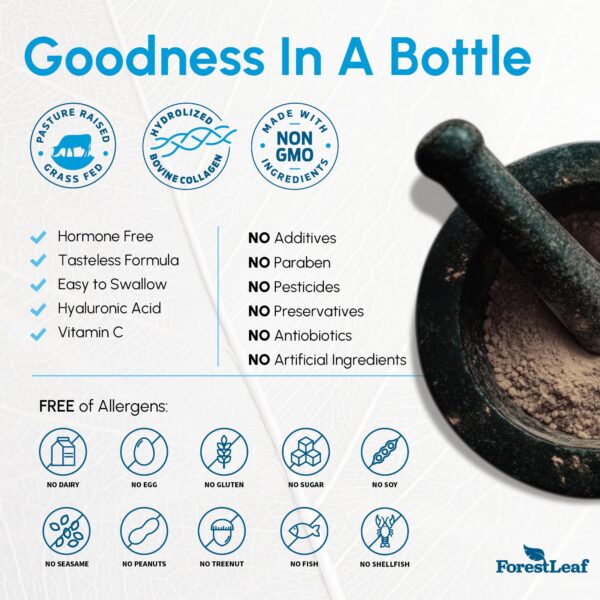 Version 1.0.0 Etiqueta detalle ForestLeaf