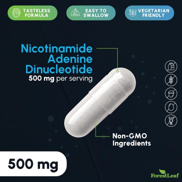 Version 1.0.0 Vista frontal del ForestLeaf NAD+ 60 piezas