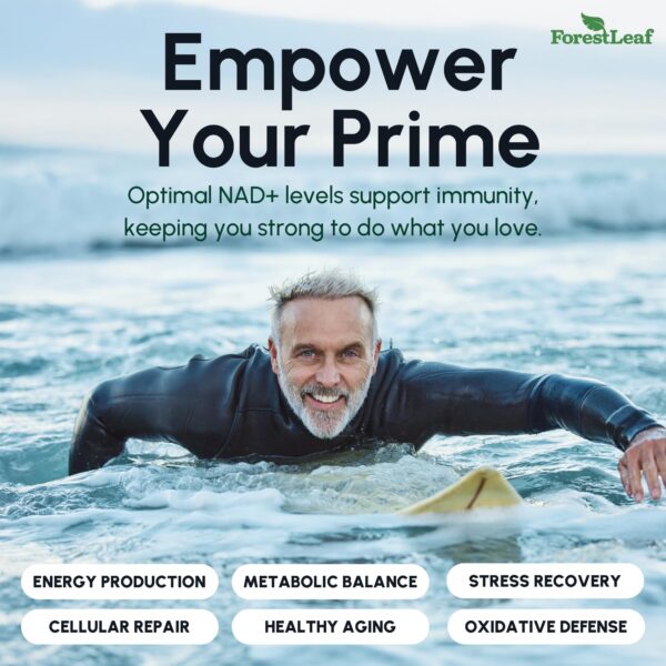 Version 1.0.0 Vista cercana del NAD+ ForestLeaf 60 piezas