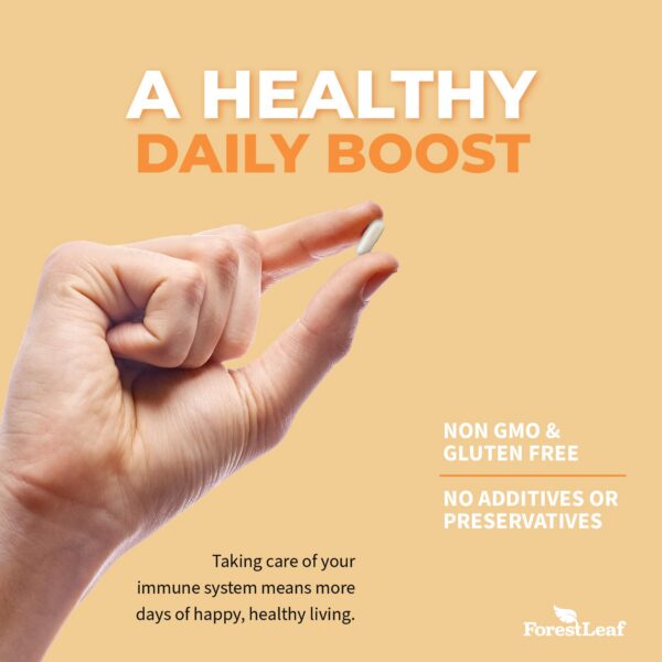 Version 1.0.0 ForestLeaf vitamina d alta potencia paquete de 180 cápsulas