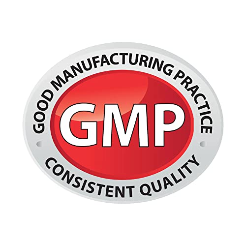 Apoyo cognitivo con Ginkgo Biloba