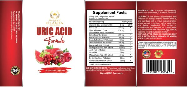 Fórmula antioxidante OLANTA para bienestar y equilibrio corporal