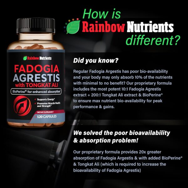 fórmula avanzada para mejorar absorción nutricional deportiva