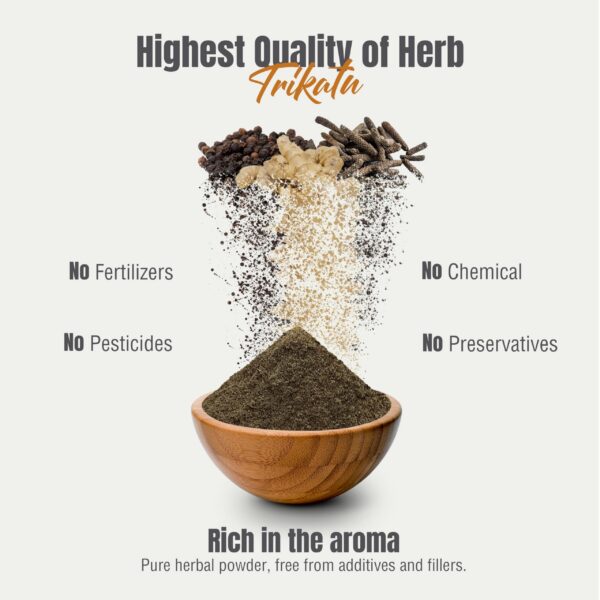 Version 1.0.0 Fórmula ayurvédica tradicional para digestión HerbsForever