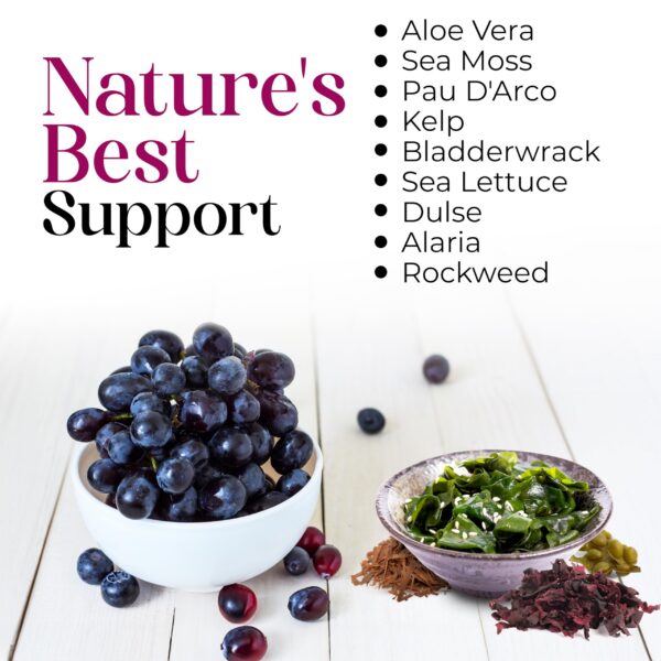 Version 1.0.0 SeaAloe mezcla de jugos naturales para sabor antioxidante y aminoácidos