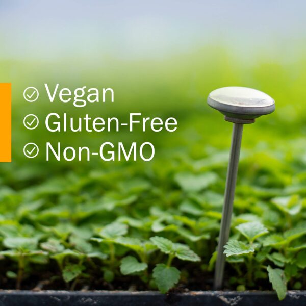 Extracto herbal líquido sin gluten sin alcohol