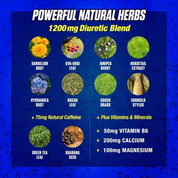 Fórmula MHP Xpel con extractos naturales y electrolitos