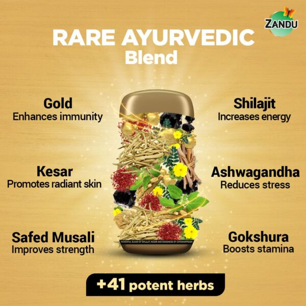 Version 1.0.0 Fórmula triple acción Shilajitprash Zandu fuerza y resistencia