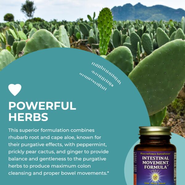 Fórmula vegana laxante natural HealthForce para movimiento intestinal