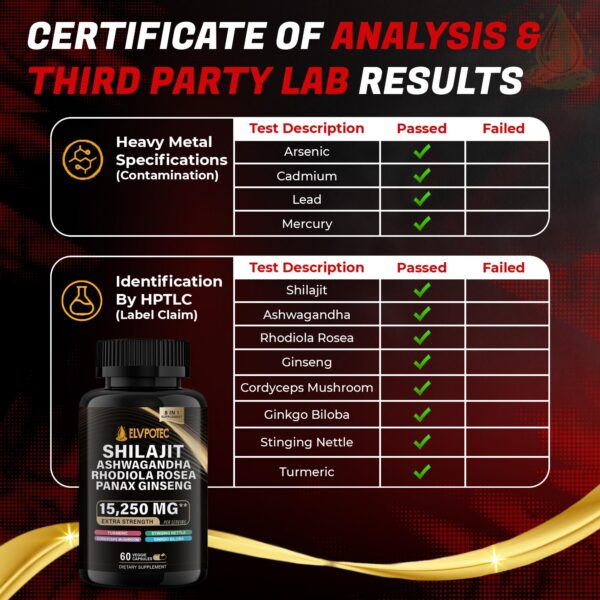 Formulación Elvpotec con cúrcuma y ortiga para salud integral