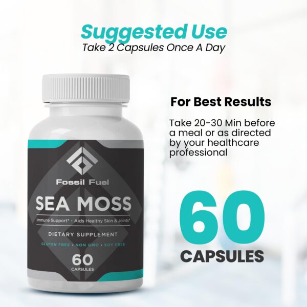 Suplemento natural musgo marino para salud y energía Fossil Fuel