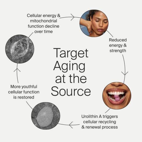 Fragancia y textura de gomitas Timeline Mitopure