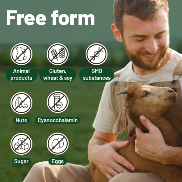 Version 1.0.0 Frasco 180 tabletas Vitaminas veganas Vegan Vitality