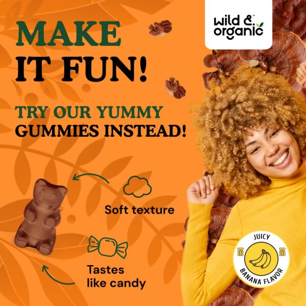 Frasco de 60 caramelos masticables reishi Wild Organic