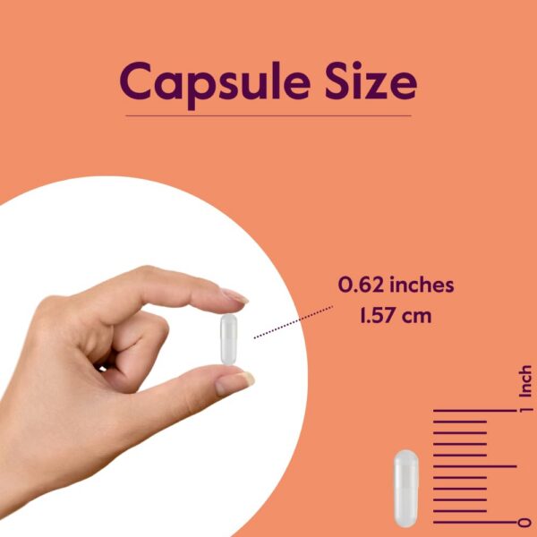 Frasco BESTVITE 5-HTP mostrando ingredientes