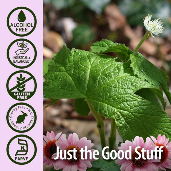 Frasco y caja del extracto sin alcohol Nature's Answer 1oz