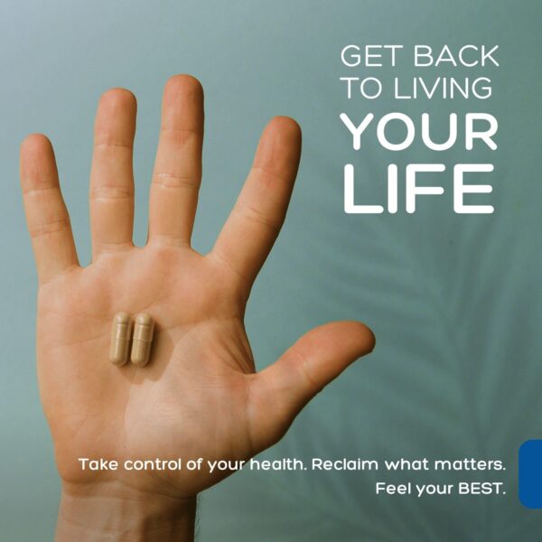 Version 1.0.0 Frasco cápsulas Andrographis sin gluten Palmara Health